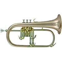 Roy Benson RB701095 - Fliscorno en Sib FH-302G- latón dorado- estuche ligero rectangular